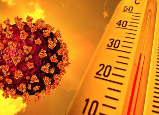 SARS-CoV-2 Has Evolved To Withstand Higher Temperatures