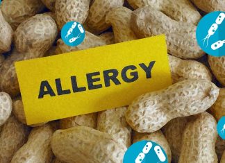 Researchers developed polymeric micelles of butyrate that is effective against peanut allergies