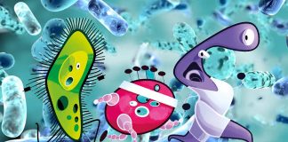 Microbial instability in the gut could hinder the performance of elite endurance athletes