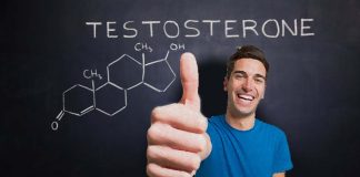 Testosterone can promote social affection and prosocial behaviors in males