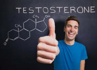 Testosterone can promote social affection and prosocial behaviors in males