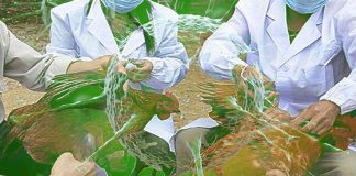 Novel Zoonotic Avian Influenza Virus A(H3N8) In Poultry In China Could Lead To A Serious Human Pandemic