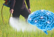 Those working in production occupations have a higher risk of developing ALS