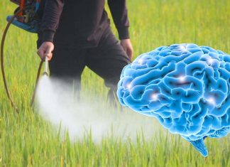 Those working in production occupations have a higher risk of developing ALS