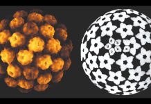 Polyomaviruses Family Can Cause Tumors In Humans
