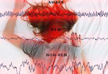 REM sleep acts like a thermostatically controlled brain heater