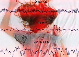 REM sleep acts like a thermostatically controlled brain heater