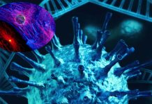 SARS-CoV-2 Actually Attacks The DNA of Heart Cells