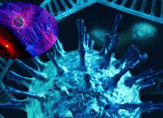 SARS-CoV-2 Actually Attacks The DNA of Heart Cells