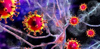 Le infezioni da SARS-CoV-2 aumentano il rischio di vari problemi neurologici
