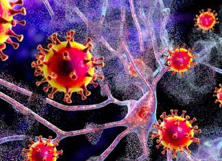 Le infezioni da SARS-CoV-2 aumentano il rischio di vari problemi neurologici