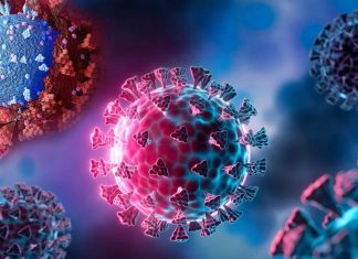 SARS-CoV-2 BQ.1.1 And BA.2.3.20 Variants Driving Exponential Daily New Infections And Hospitalizations Across Europe