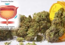 Regular Use Of Cannabis Can Lead To Increased Risk Of Overactive Bladder