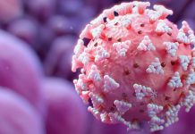 Meta-Analysis Study Shows That Antioxidant Supplements Help In COVID-19 Clinical Outcomes