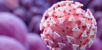 Meta-Analysis Study Shows That Antioxidant Supplements Help In COVID-19 Clinical Outcomes