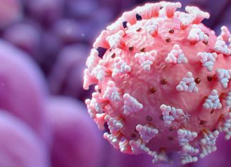 Meta-Analysis Study Shows That Antioxidant Supplements Help In COVID-19 Clinical Outcomes