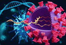 ELF5 is a risk gene for severe COVID-19