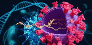ELF5 is a risk gene for severe COVID-19