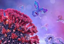 Post-COVID Fatigue Associated With Increased Expression Of Inflammatory Genes In Monocytes, Serum Pro-Inflammatory Cytokines And increased CD8+ T-Cells
