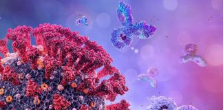 Post-COVID Fatigue Associated With Increased Expression Of Inflammatory Genes In Monocytes, Serum Pro-Inflammatory Cytokines And increased CD8+ T-Cells