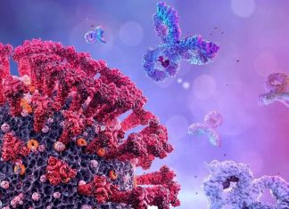 Post-COVID Fatigue Associated With Increased Expression Of Inflammatory Genes In Monocytes, Serum Pro-Inflammatory Cytokines And increased CD8+ T-Cells