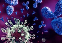 SARS-CoV-2 Mpro Protein Disarms Some Of The Human Immune Responses By Cleaving Nemo