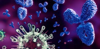 SARS-CoV-2 Mpro Protein Disarms Some Of The Human Immune Responses By Cleaving Nemo