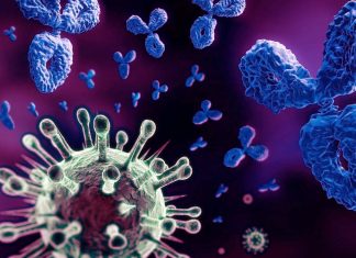 SARS-CoV-2 Mpro Protein Disarms Some Of The Human Immune Responses By Cleaving Nemo