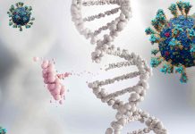 SARS-CoV-2 Infections Leads To Downregulation Of p53 – A Critical Cancer Protective Gene