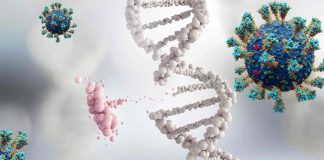 SARS-CoV-2 Infections Leads To Downregulation Of p53 – A Critical Cancer Protective Gene