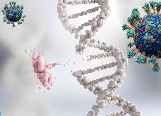 SARS-CoV-2 Infections Leads To Downregulation Of p53 – A Critical Cancer Protective Gene