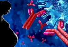 SARS-CoV-2 Infections Impairs Antiviral Innate Immune Gene Expression In The Placenta