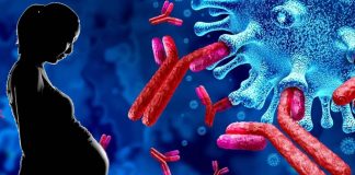 SARS-CoV-2 Infections Impairs Antiviral Innate Immune Gene Expression In The Placenta