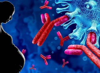 SARS-CoV-2 Infections Impairs Antiviral Innate Immune Gene Expression In The Placenta