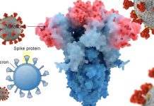 Spike 346 mutations are helping SARS-CoV-2 escape neutralization by all known antibodies