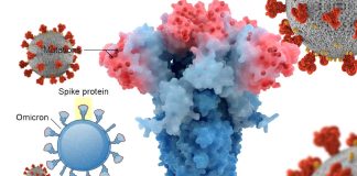Spike 346 mutations are helping SARS-CoV-2 escape neutralization by all known antibodies