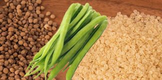 Diets high in guar gum limit inflammation and delay the onset of multiple sclerosis