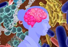 The gut microbiota has emerged as a key conduit in mental health and is a promising target for intervention
