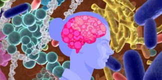 The gut microbiota has emerged as a key conduit in mental health and is a promising target for intervention