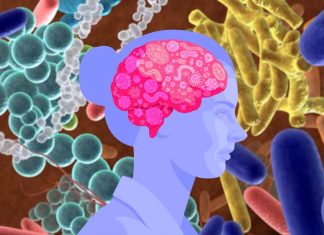 The gut microbiota has emerged as a key conduit in mental health and is a promising target for intervention
