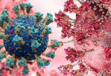 Newer Omicron Variants Like BA.4.6 – BA.4.7 and BA.5.7 Are More Immune Evasive Than BA.5