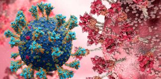 Newer Omicron Variants Like BA.4.6 – BA.4.7 and BA.5.7 Are More Immune Evasive Than BA.5