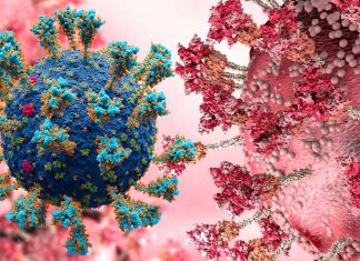 Newer Omicron Variants Like BA.4.6 – BA.4.7 and BA.5.7 Are More Immune Evasive Than BA.5