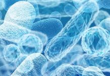 Postbiotics with a morning coffee can help give your immune system a boost