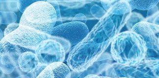 Postbiotics with a morning coffee can help give your immune system a boost