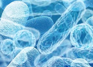 Postbiotics with a morning coffee can help give your immune system a boost