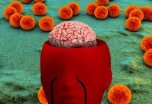 The Liver-Brain Axis and Peripheral Manifestations in Alzheimer’s Disease: Exploring New Perspectives
