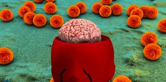 The Liver-Brain Axis and Peripheral Manifestations in Alzheimer’s Disease: Exploring New Perspectives