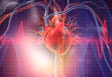 Japanese Scientists Discover That 5-ALA Supplementation Could Reverse Or Prevent Mitochondrial Dysfunction That Causes Chronic Heart Failure