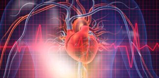 Japanese Scientists Discover That 5-ALA Supplementation Could Reverse Or Prevent Mitochondrial Dysfunction That Causes Chronic Heart Failure